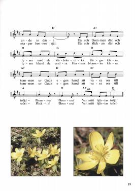 seniors&aring;nger_6